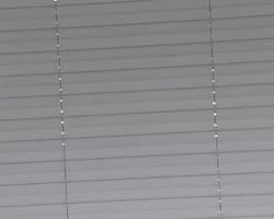 galeria-03-24-41
